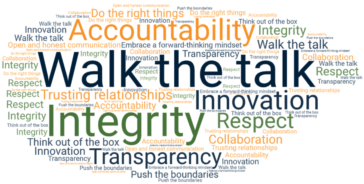 Word cloud - values of exci