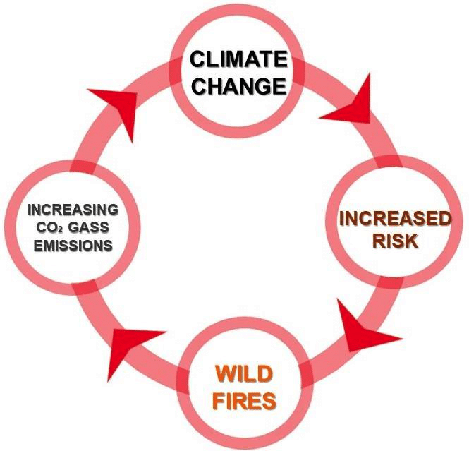 Climate-change-based-wildfire-and-CO2-cycle