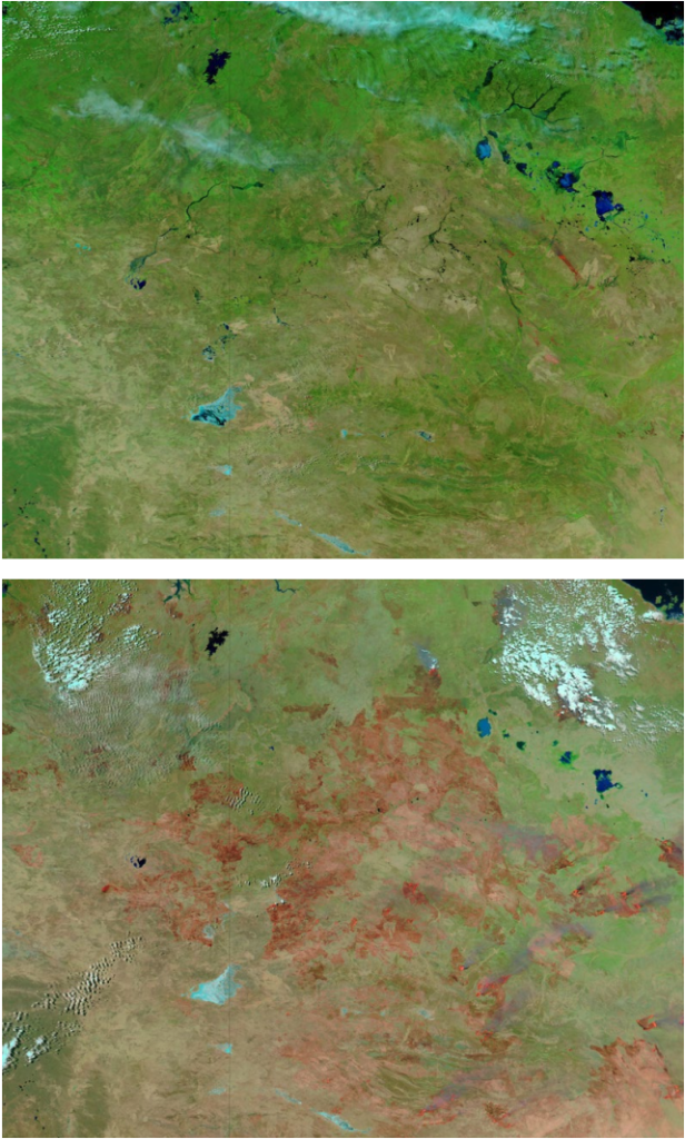 Grass covered land burned in Australia