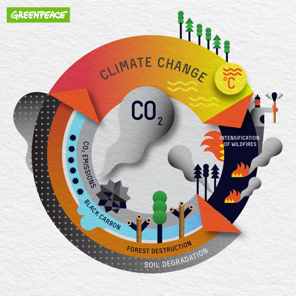 Feedback loop infographic by Greenpeace