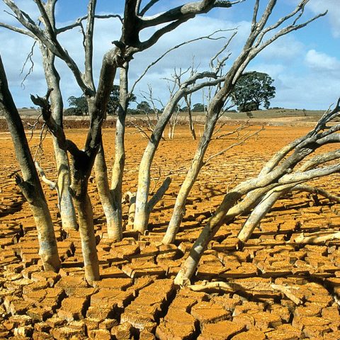 Dry bed of the tailings dam at the Brukunga Pyrite Mine east of Adelaide in the Mount Lofty Ranges South Australia 1992