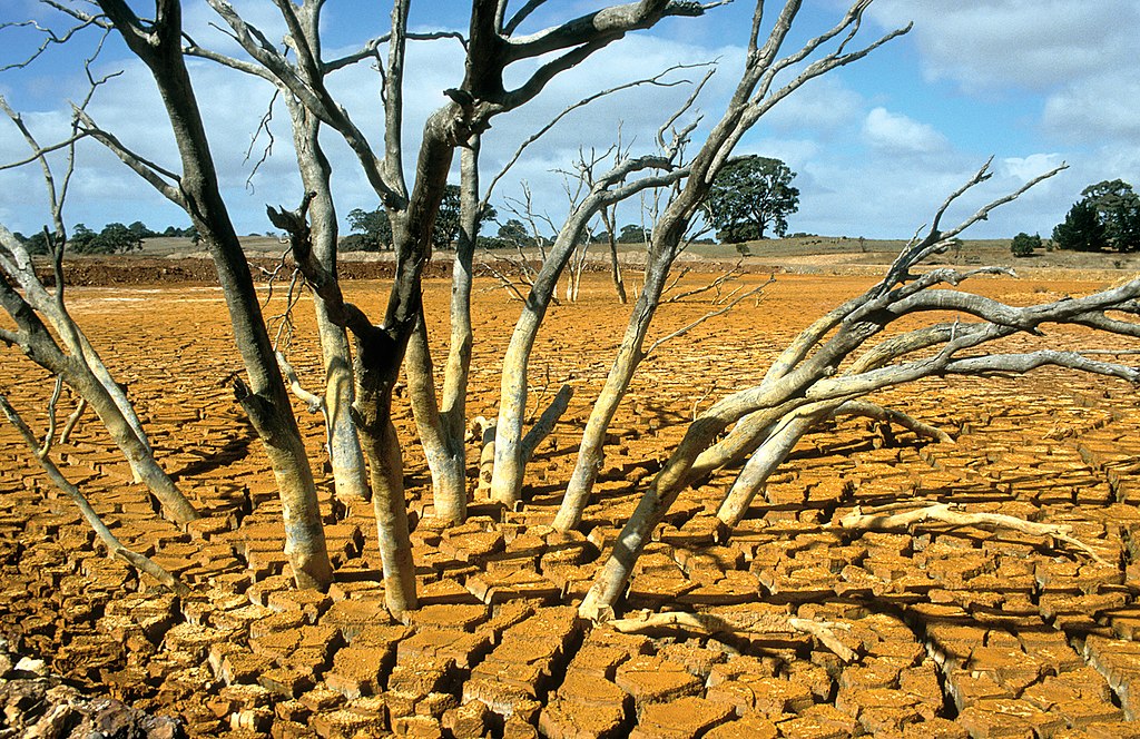 Dry bed of the tailings dam at the Brukunga Pyrite Mine east of Adelaide in the Mount Lofty Ranges South Australia 1992