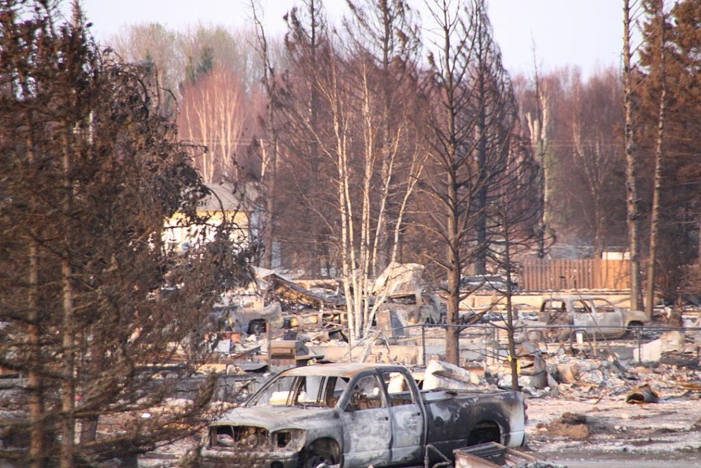 Wildfire aftermath