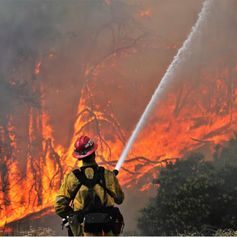 firefighter extinguishing wildfire by rawpixel