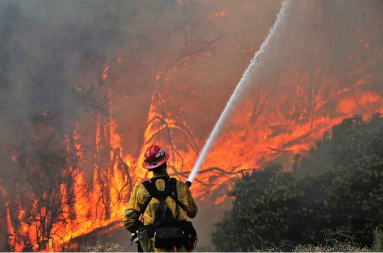 firefighter extinguishing wildfire by rawpixel