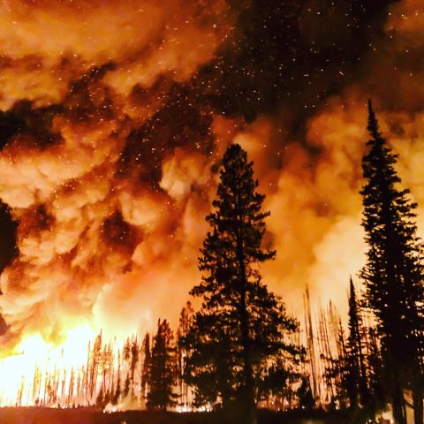 wildfire by rawpixel