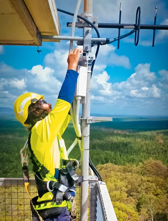 exci's team installs a camera at HQPlantations