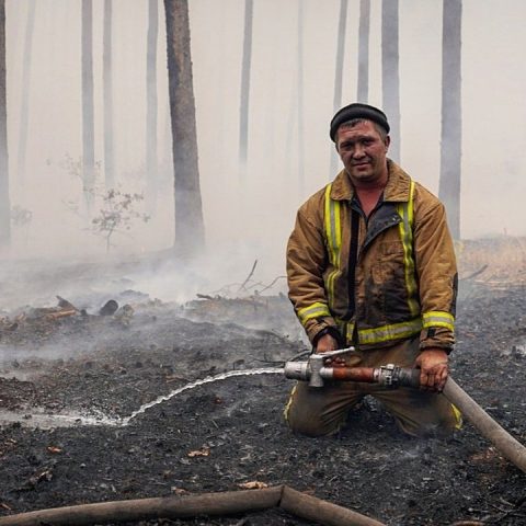 Wildfires in Luhansk Oblast Ukraine