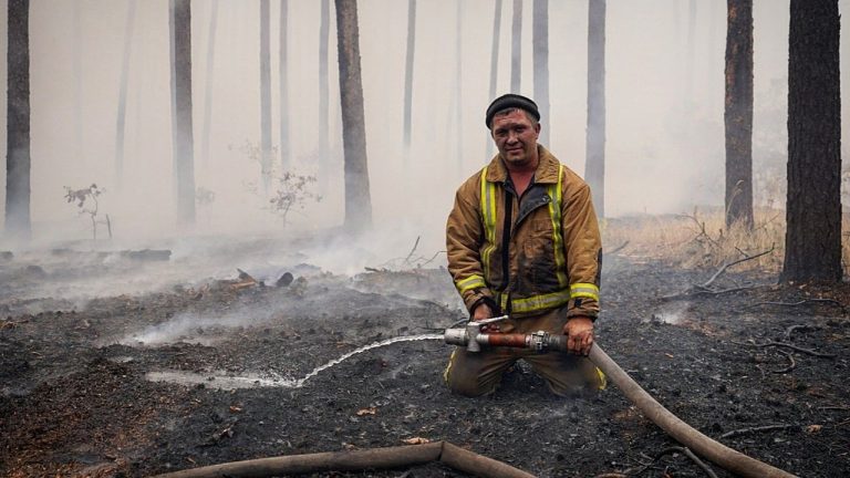 Wildfires in Luhansk Oblast Ukraine