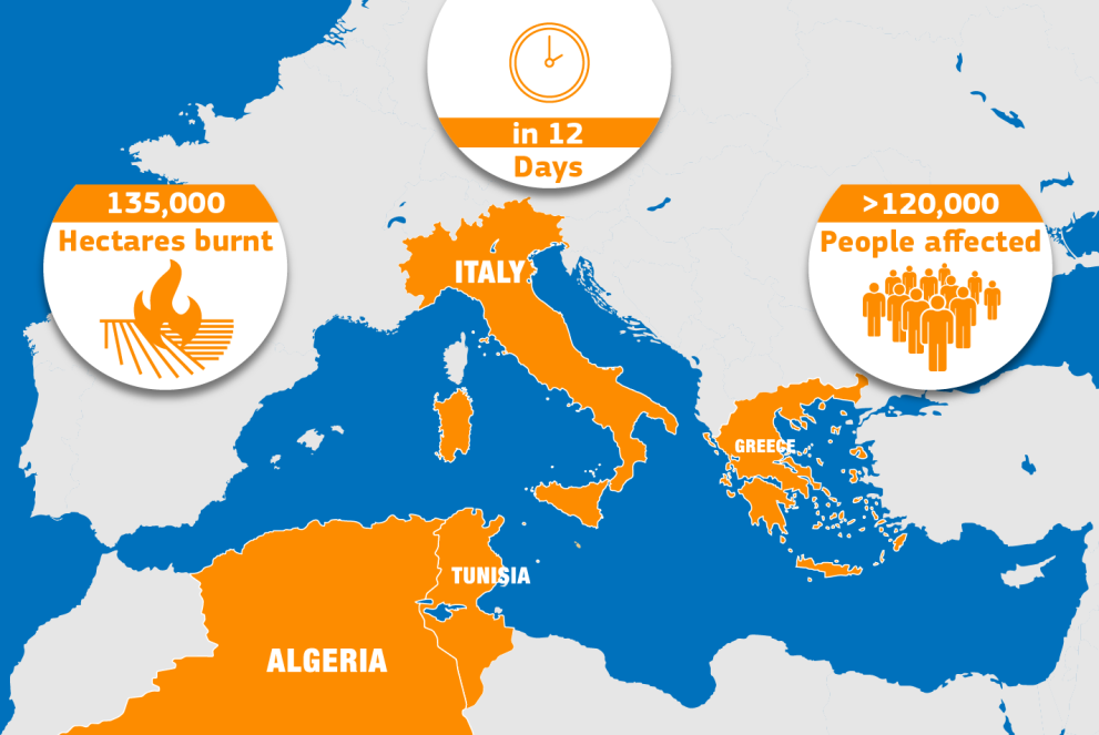 Wildfires in the Mediterranean