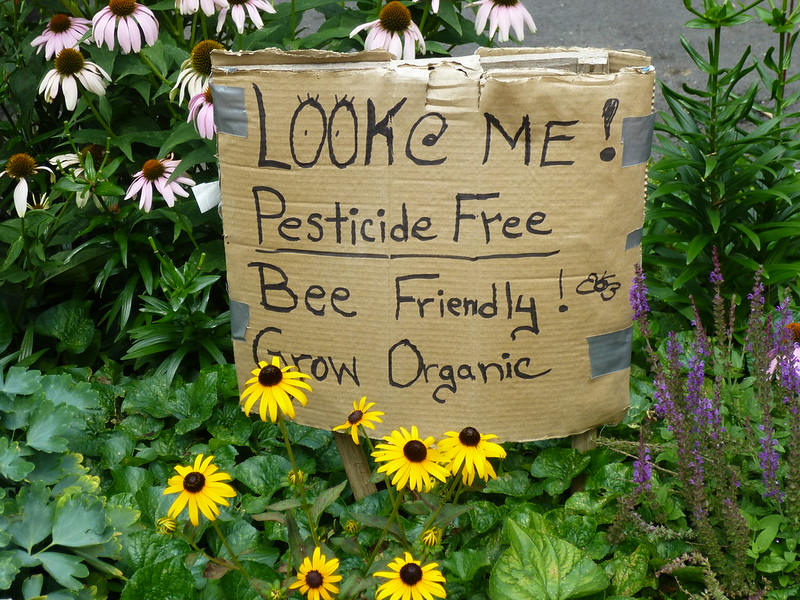 Bee-friendly garden